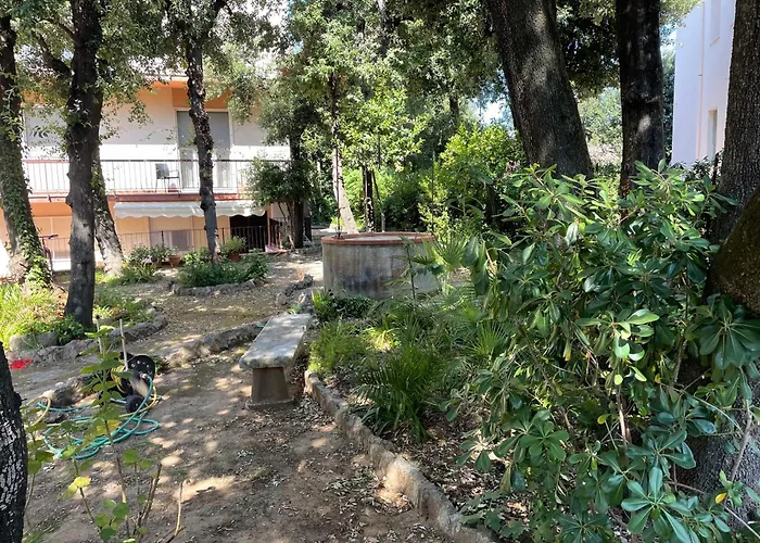 Giardino Sud - A Pochi Passi Dal Mare